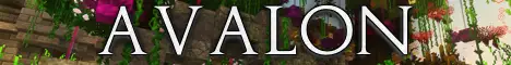 Баннер Avalon