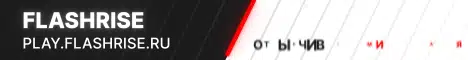 Баннер FlashRise