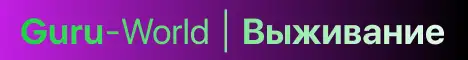 Баннер GuruWorld