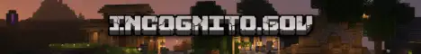 Баннер Incognito.gov