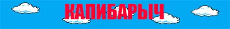 Баннер Капибарыч BE/PE