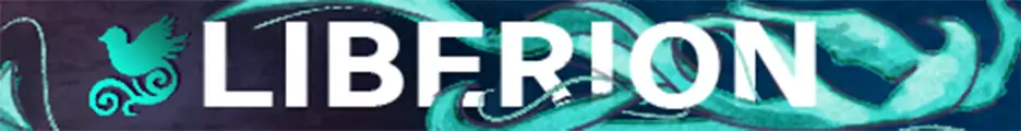 Большой баннер Liberion