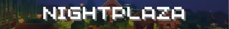 Баннер NightPlaza