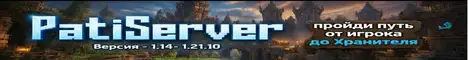 Баннер PatiServer