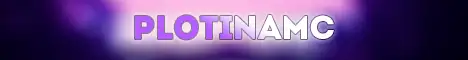 Баннер PlotinaMC