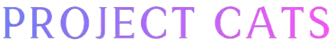 Баннер Project Cats