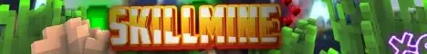 Баннер SkillMine