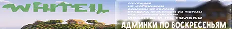 Баннер Whiteil