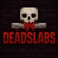 Скриншот номер 1 с сервера DeadSlabs
