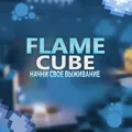 Скриншот номер 1 с сервера Flamecube
