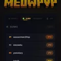 Скриншот номер 2 с сервера MeowPvP