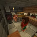 Скриншот номер 1 с сервера PolySMP